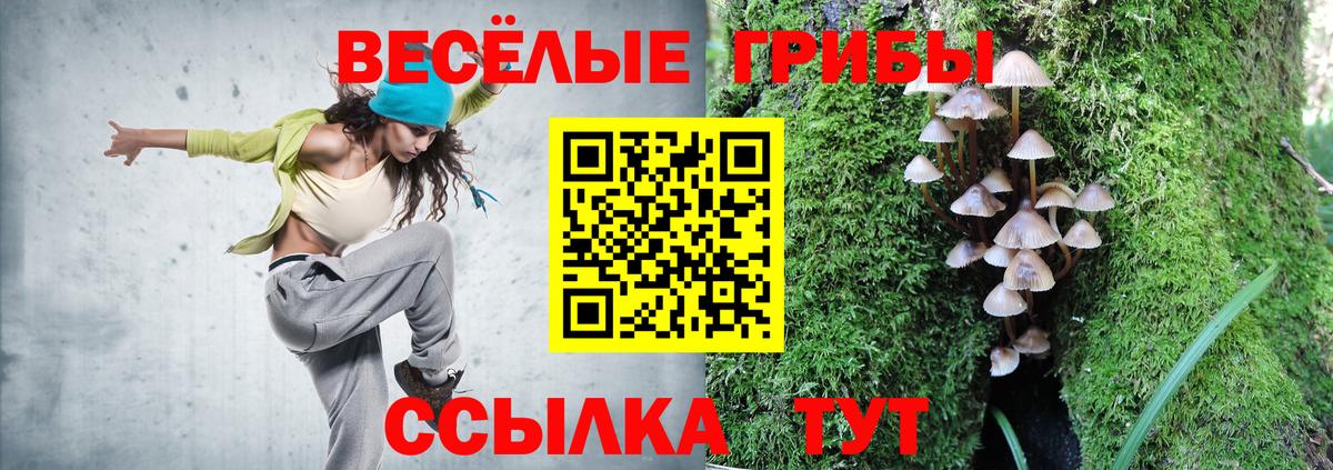 Псилоцибиновые грибы Psilocybe  Вход с VPN  Крымск 