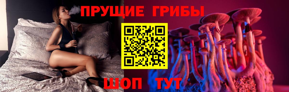 Галлюциногенные грибы Cubensis Крымск
